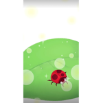 Lady Bug Lady Bug