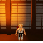 Star do karate