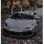 Car guysssss