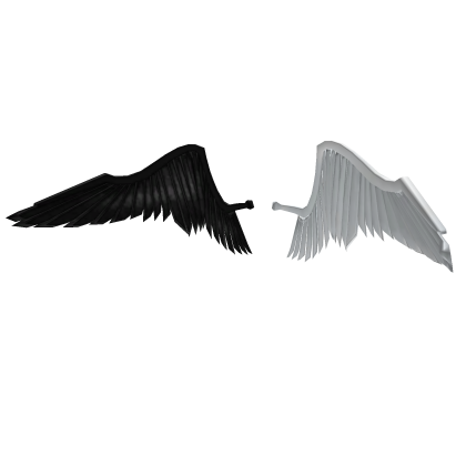 Wings of Duality