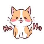 Magic corgi c