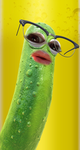 pickle Mc. Pickle