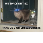 Space Kittiez Trading Company