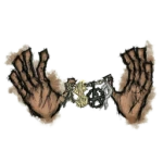 IL$ Group Thumbnail
