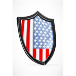 Patriotic Warriors