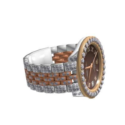 Expensive Watch