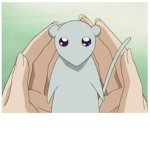 Obese rat kid