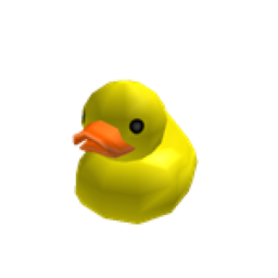DUCK MEETING PLACE