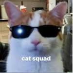 cat squad /cat crew
