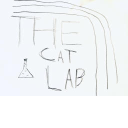 THE CAT LAB