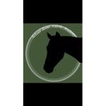 -Silver stone riding academy-