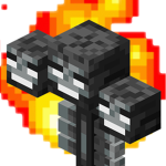 #wither bros