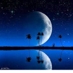 The Midnight Sky