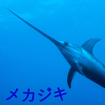 メカジキ