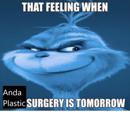 ANDA PLASTIC SURGERY SIMULATOR