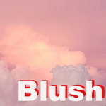 Blush Clothing inc.