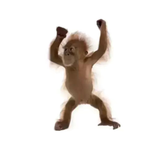єммαѕ