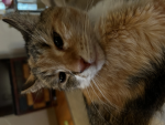 Hellotheremyfrien5ds