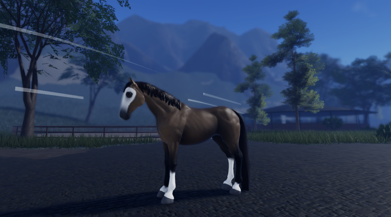 New Horse Models