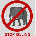Stop killing animals Club
