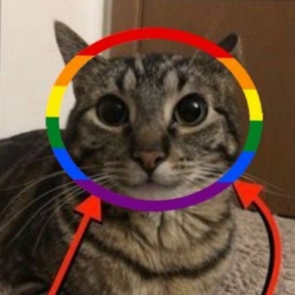 gay cta cat Roblox decal