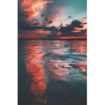 Middympfrg