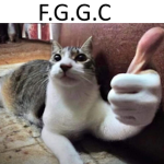 F.G.G.C