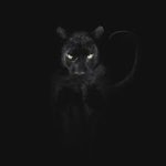 BLACK PANTER!!