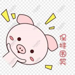 Shizuepp