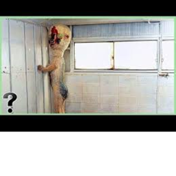 Scp 173 contaiment breach
