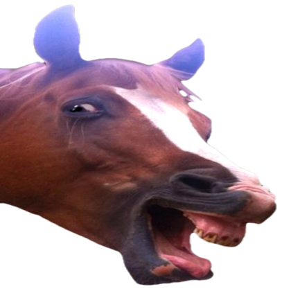 funny Roblox decal