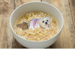 Ramen dogs