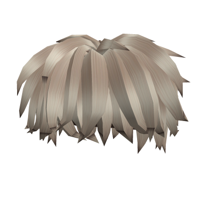 Messy Grey Boy Hair Roblox item