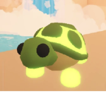 Turtles plays