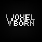 The Voxel Games