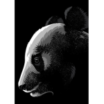 Sussy shadow pandas