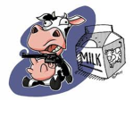 milk cow studio