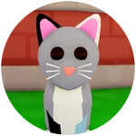 Advanced Customization