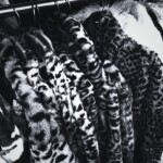 ⋆ ˚ ⭐︎ ｡ ⋆