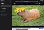 Piprexs capybaras