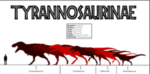 Tyrannosaurinae
