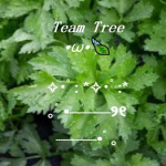 team tree :D