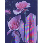 lovelyrose9956