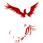 Rising Phoenix Martial Arts