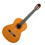 i love guitars