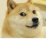 Very Cool Doge