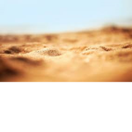 @Sand Gang