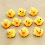 ~ The Rubber Duckie Squad ~