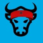 Dab’s ox ninjas
