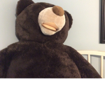 Hp fan club plus big teddy bear